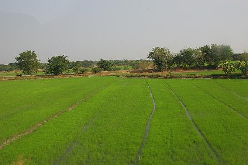0318 Phitsanulok onderweg.jpg